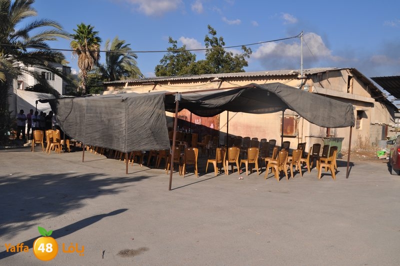 wafd motabaet3a (34).JPG